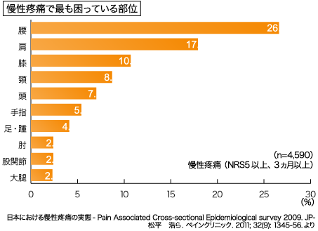 慢性疼痛で最も困っている部位