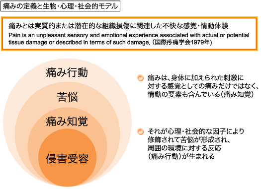 痛みの定義と生物・心理・社会的モデル