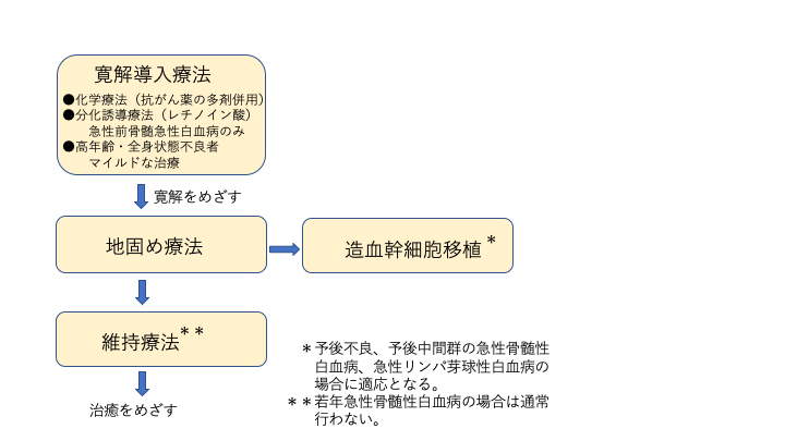急性白血病の治療