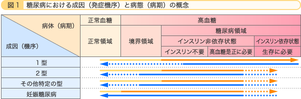 糖尿病における成因（発症機序）と病態（病期）の概念