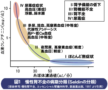 慢性腎不全の病期分類