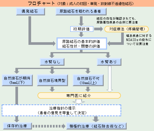 尿路結石の治療