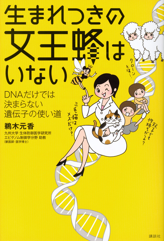 生まれつきの女王蜂はいない DNAだけでは決まらない遺伝子の使い道