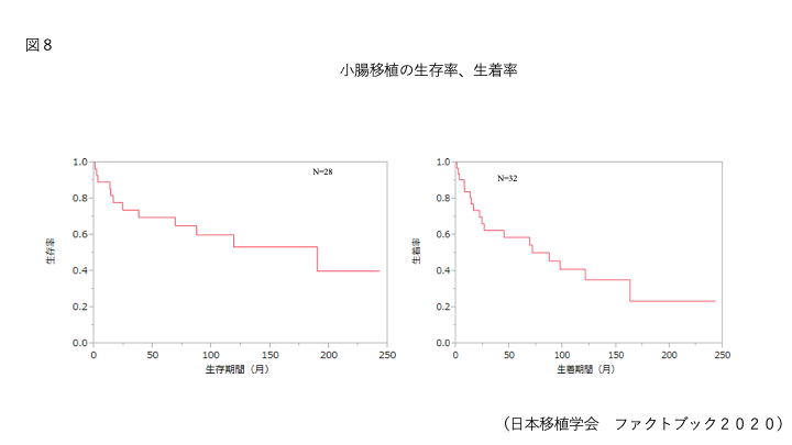 小腸移植の生存率、生着率