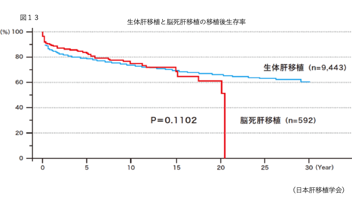 生体肝移植と脳死肝移植の移植後生存率